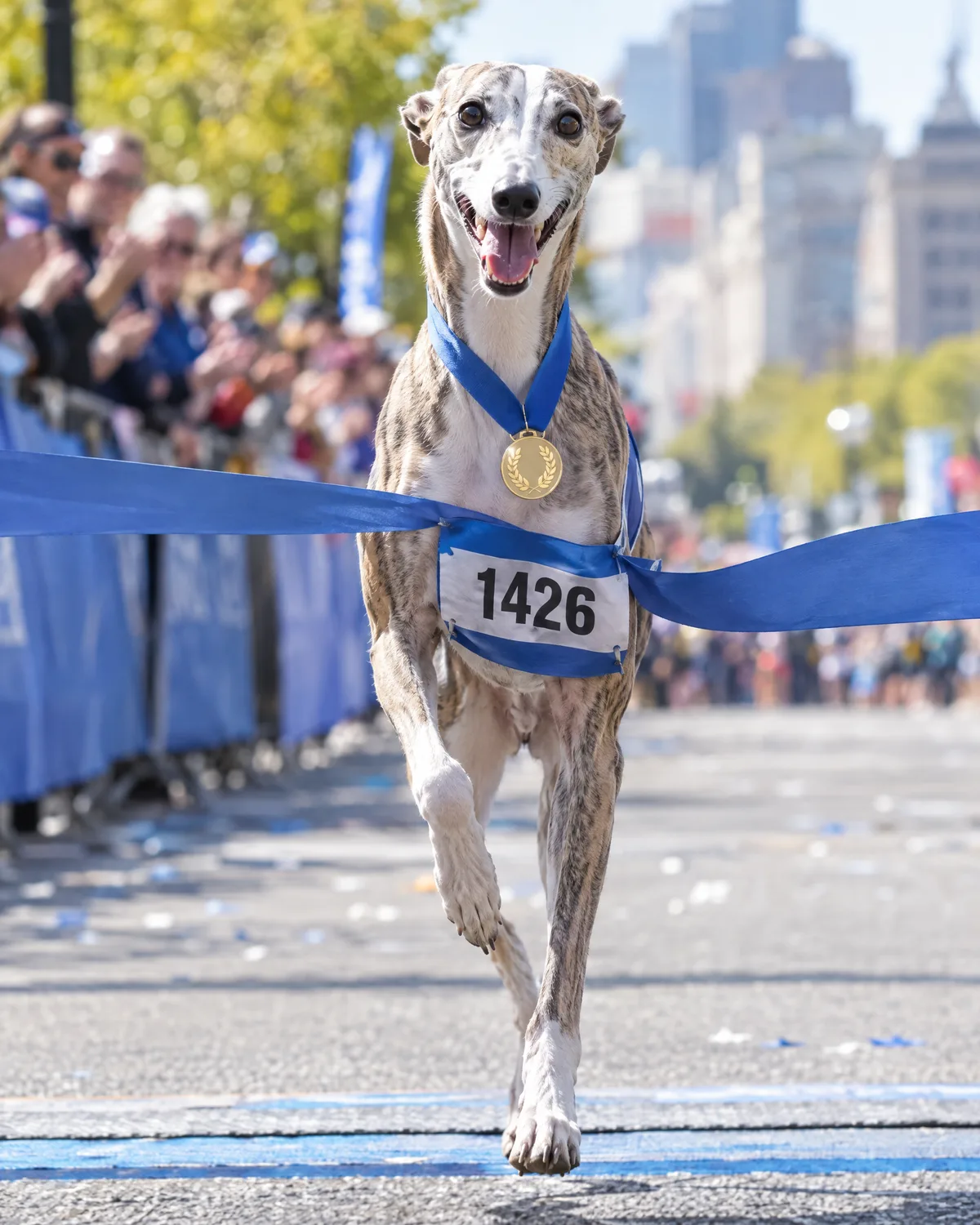 Marathon Finisher illustrative style example